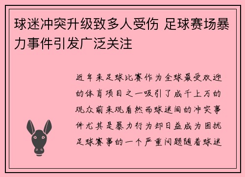 球迷冲突升级致多人受伤 足球赛场暴力事件引发广泛关注