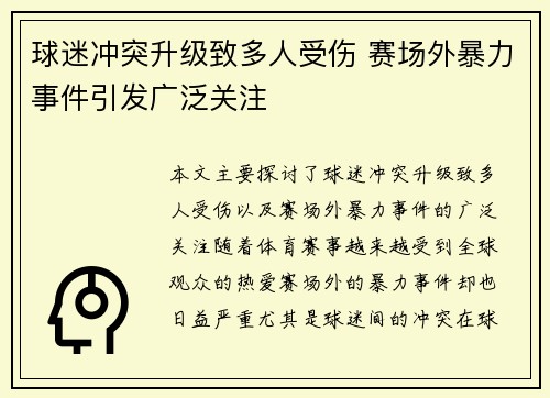 球迷冲突升级致多人受伤 赛场外暴力事件引发广泛关注